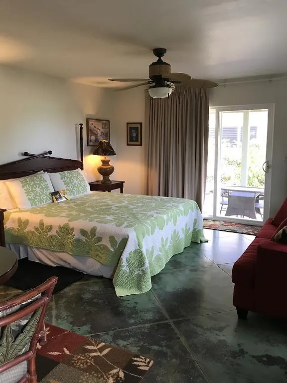 Hale Pua Villa - Seaside Studio コロア